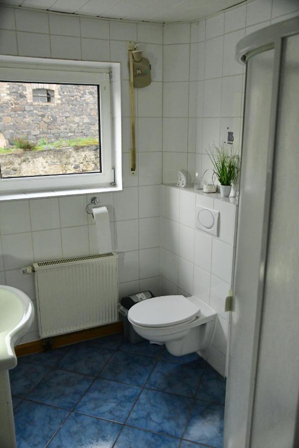 Ferienwohnung Auf Dem Pferdehof Шотен Екстериор снимка