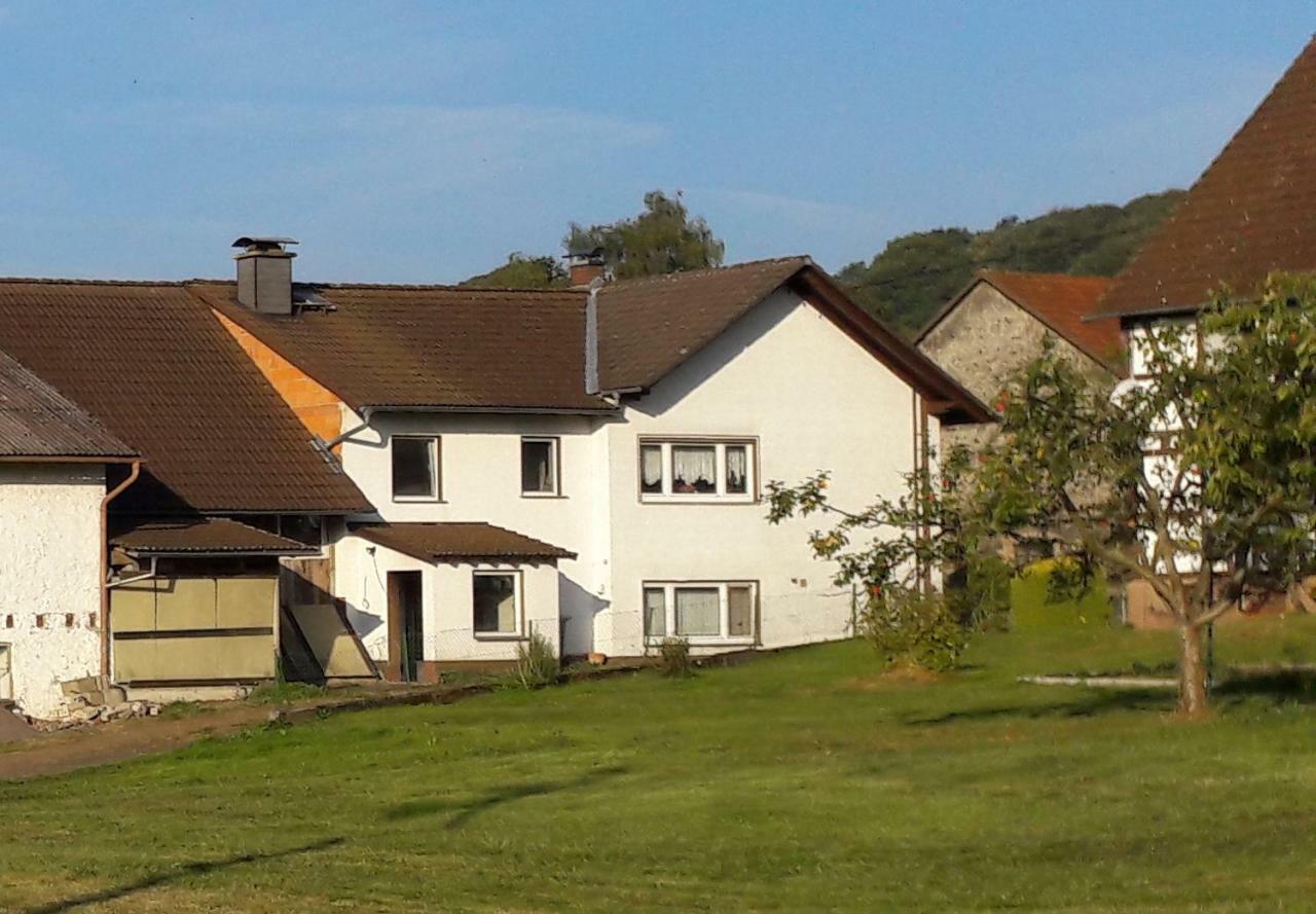 Ferienwohnung Auf Dem Pferdehof Шотен Екстериор снимка