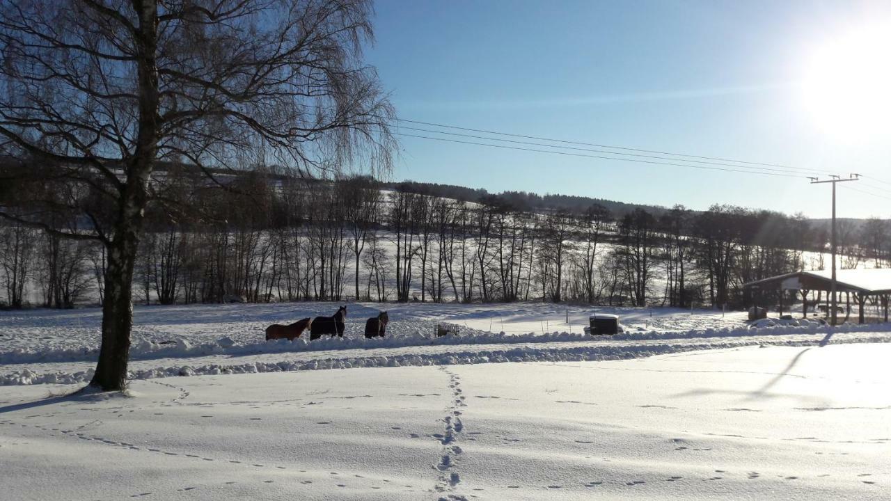 Ferienwohnung Auf Dem Pferdehof Шотен Екстериор снимка